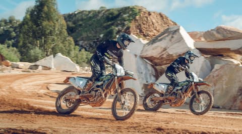 Triumph TF 250-E and TF 450-E