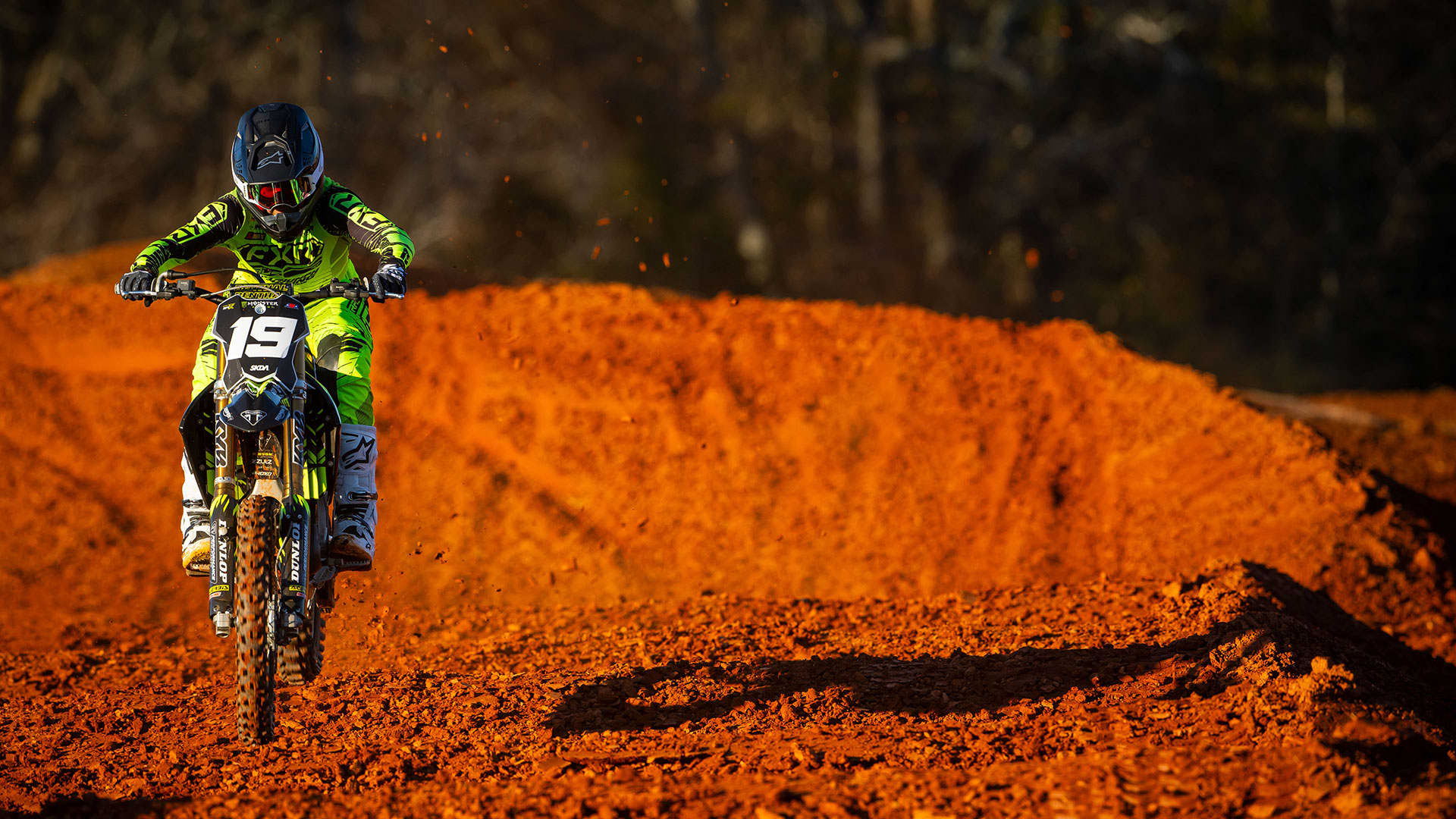 Triumph Stilez Robertson